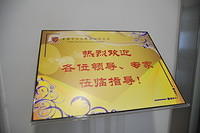 DSC 1556